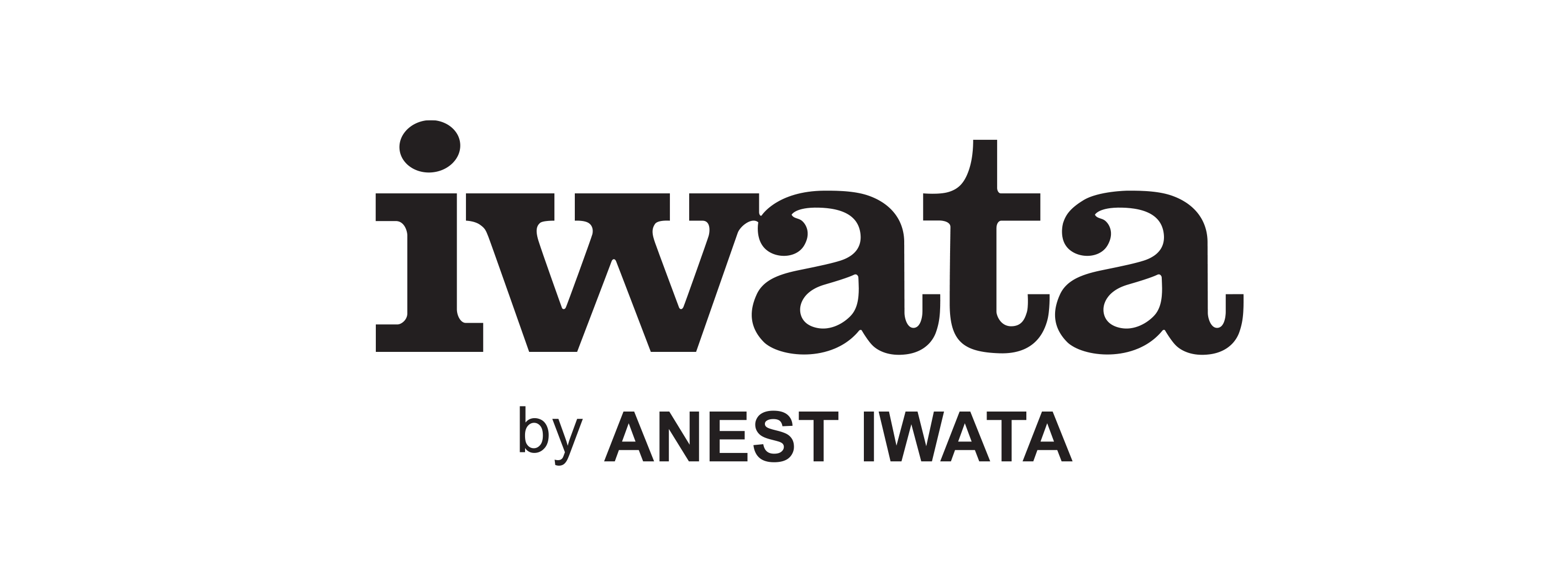 Iwata Airbrush