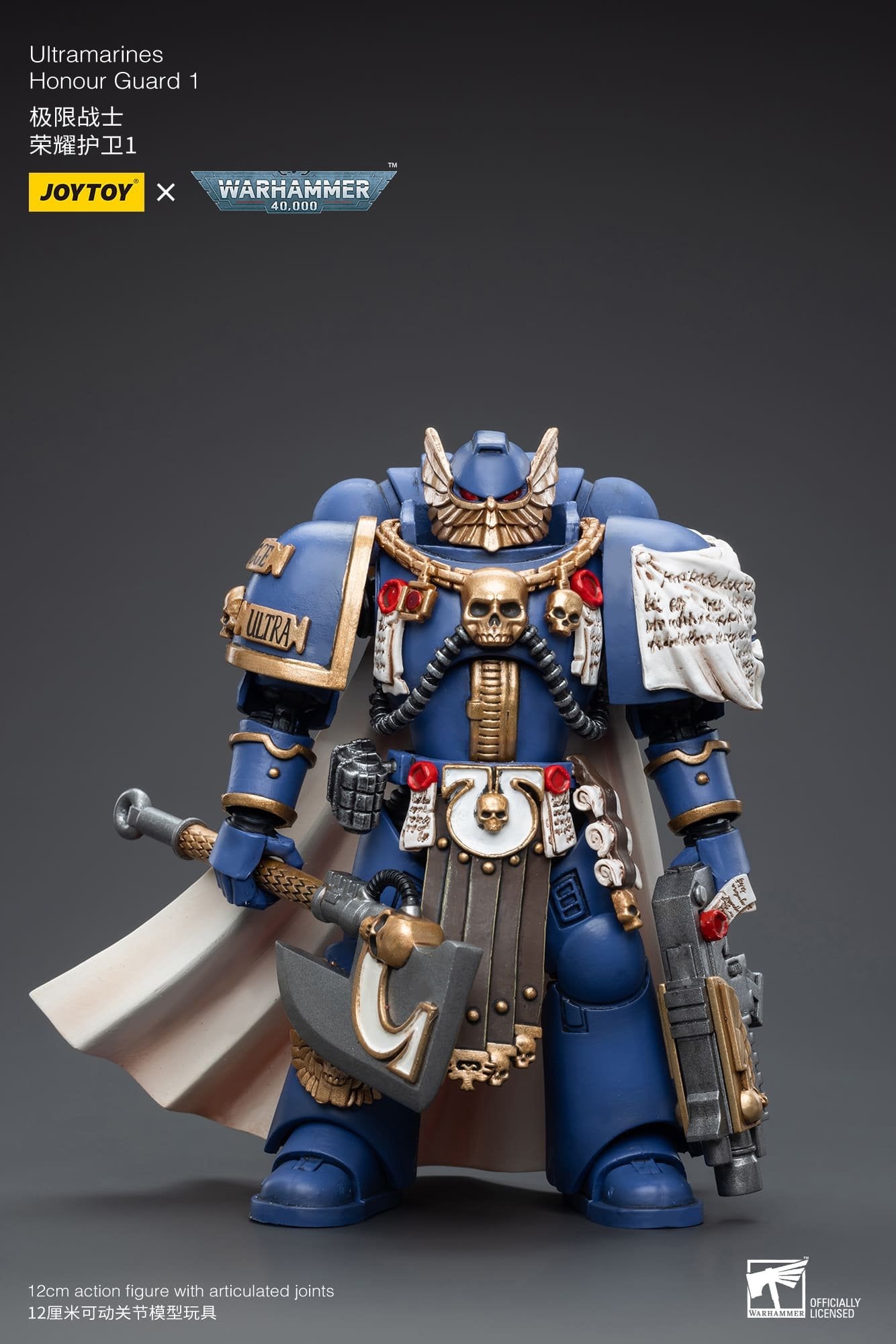 Joytoy: Ultramarines Honour Guard 1
