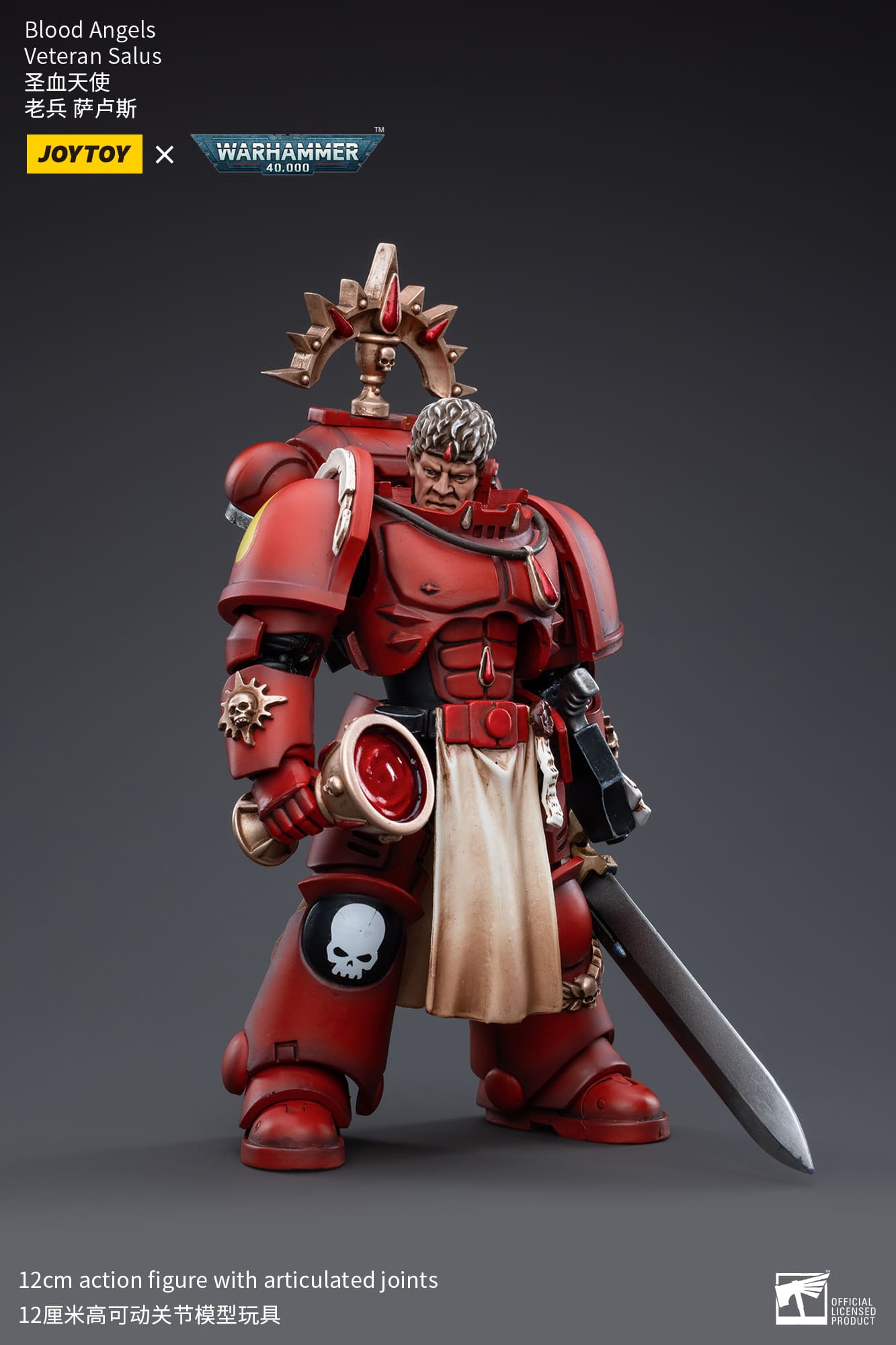 Joytoy: Blood Angels Veteran Salus