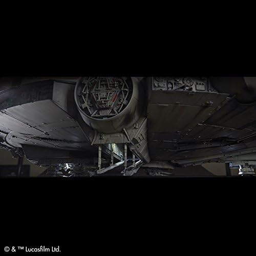 PG Millennium Falcon