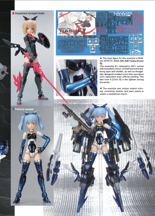 Model Art: Mastering Metal Painting - Character Model Edition (Eng)