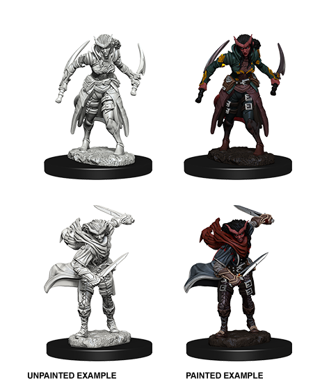 D&D Nolzur's Marvelous Miniatures: Tiefling Female Rogue