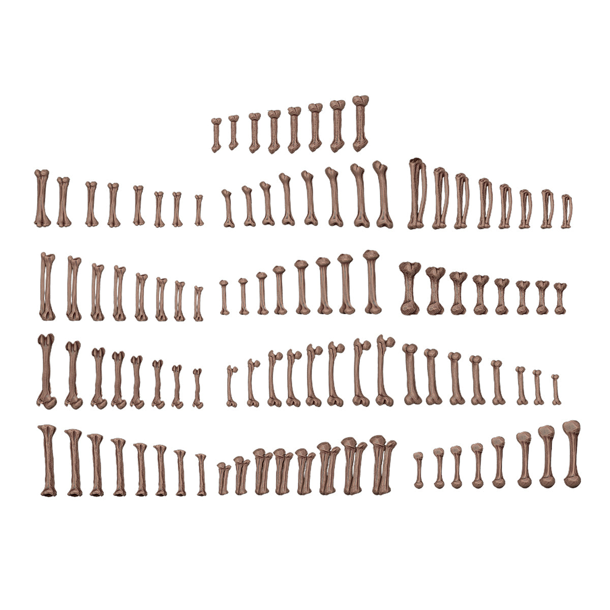 AK Basing Bits: Human Bones (120 Pieces)