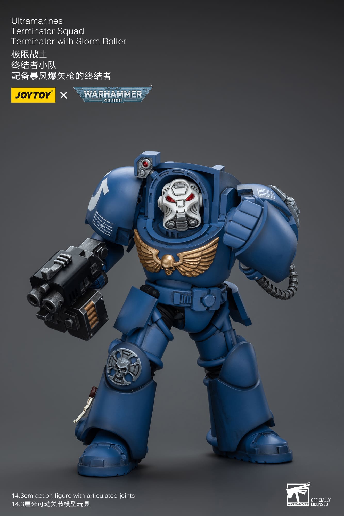 Joytoy: Ultramarines Terminator Squad Terminator with Storm Bolter