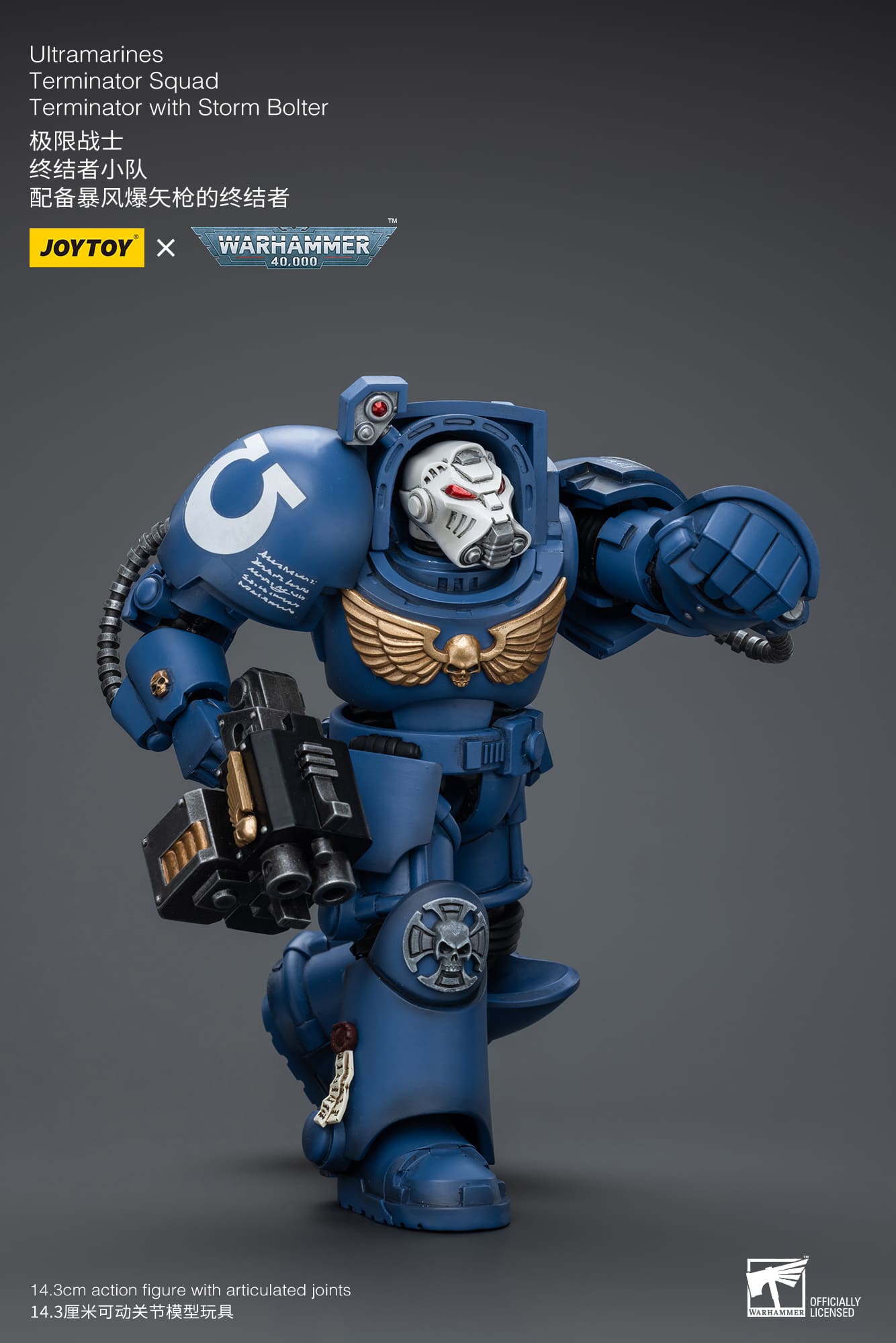 Joytoy: Ultramarines Terminator Squad Terminator with Storm Bolter