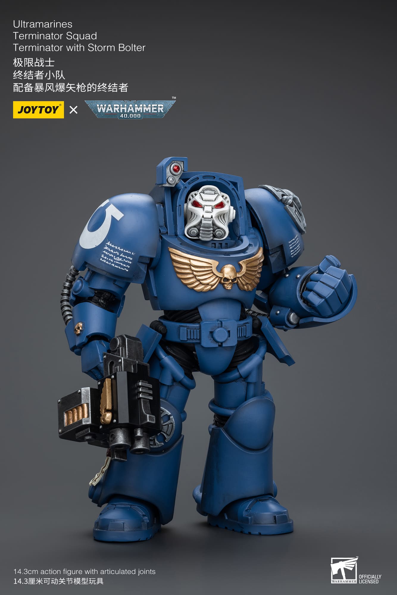 Joytoy: Ultramarines Terminator Squad Terminator with Storm Bolter