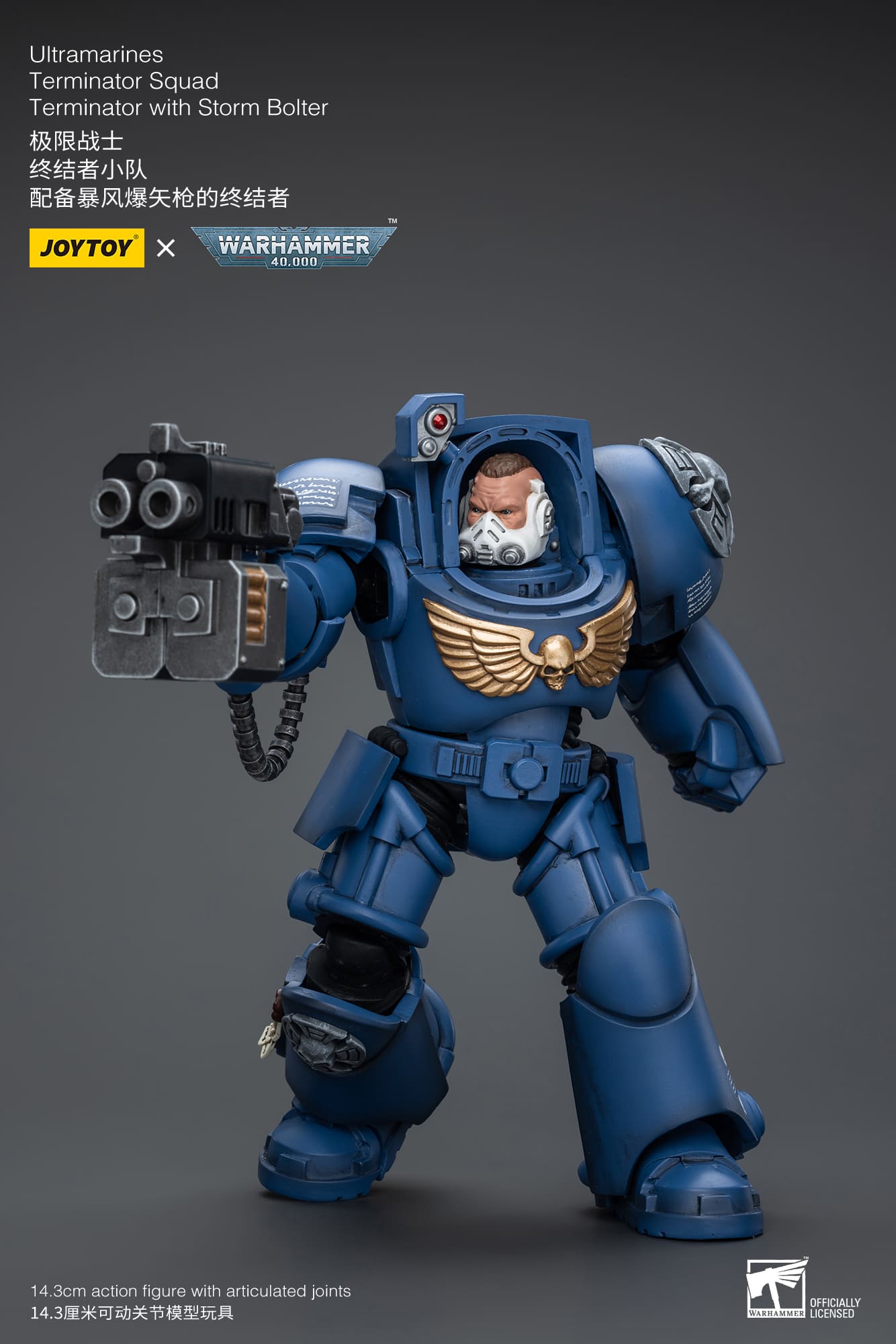 Joytoy: Ultramarines Terminator Squad Terminator with Storm Bolter