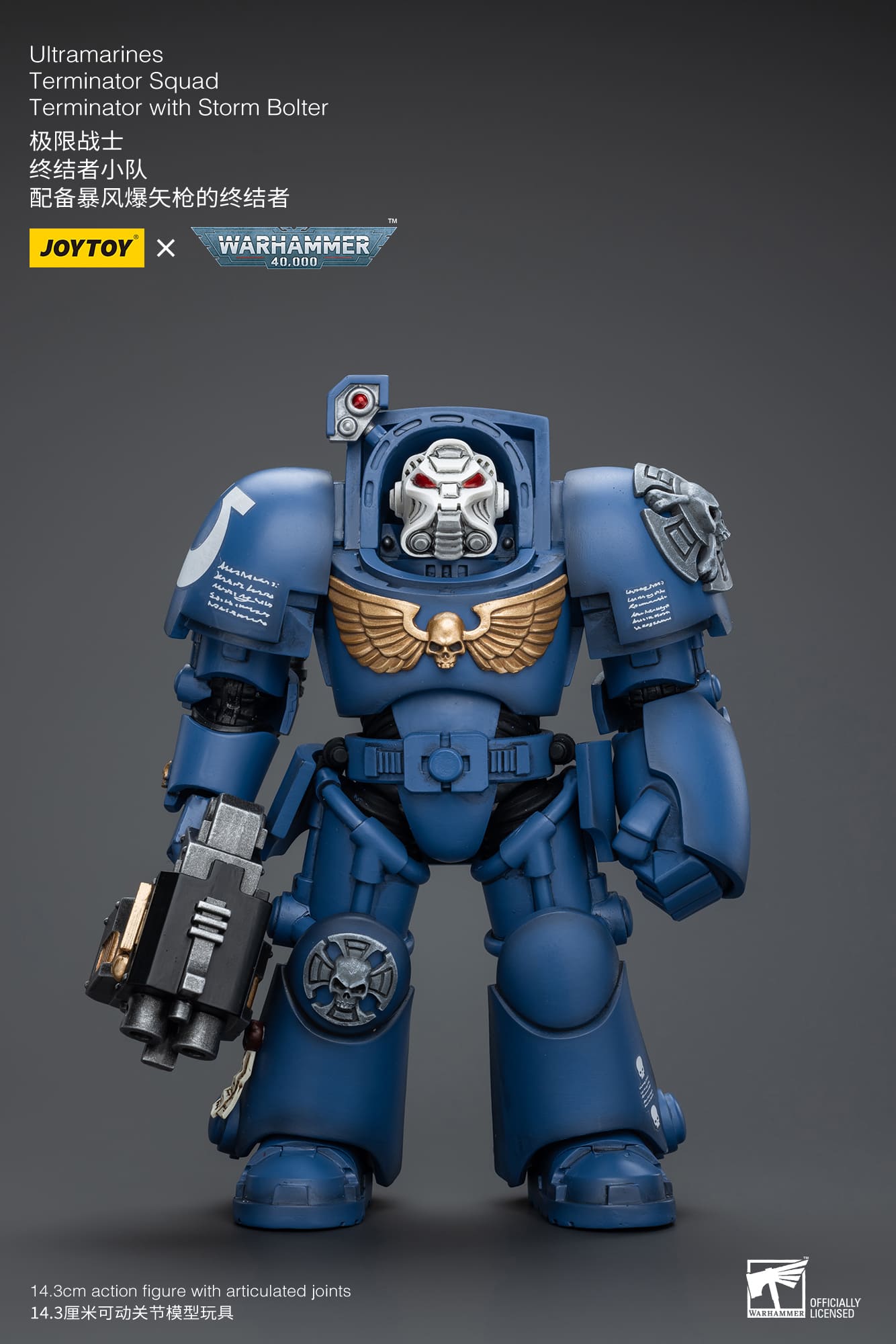 Joytoy: Ultramarines Terminator Squad Terminator with Storm Bolter