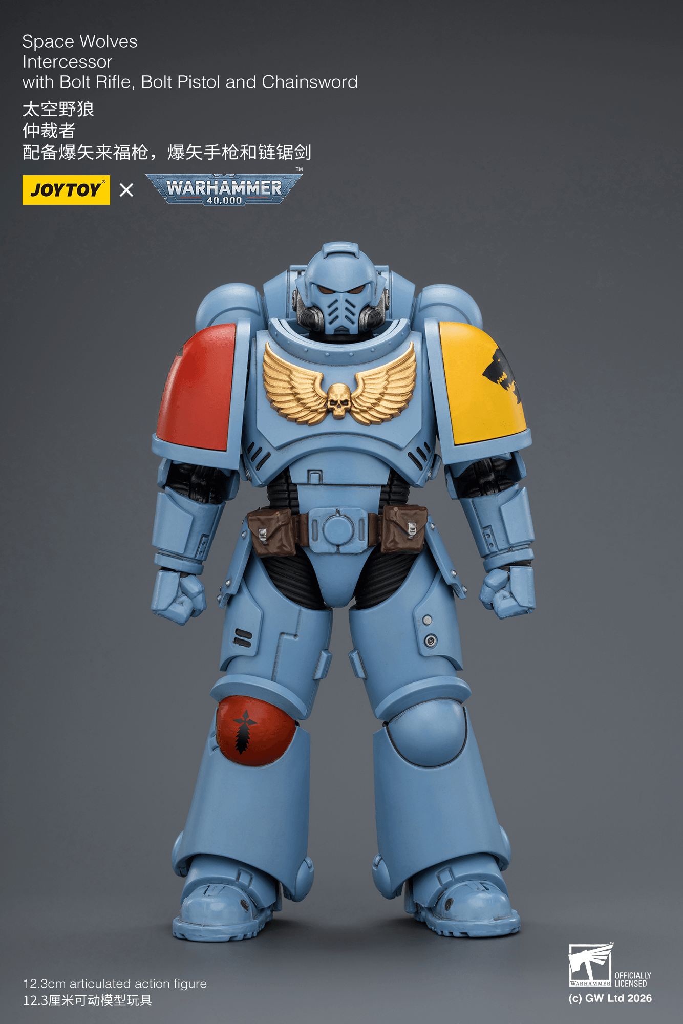 Joytoy: Space Wolves Intercessor with Bolt Rifle, Bolt Pistol and Chainsword