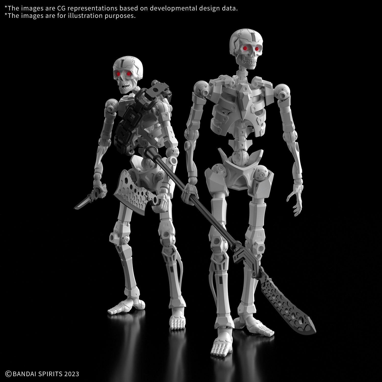 30MF Dlro Skeleton