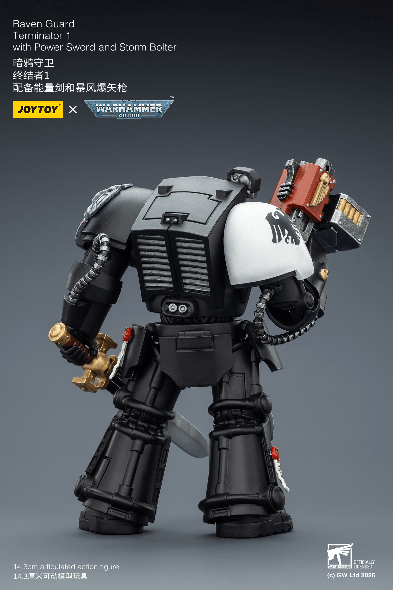Joytoy: Raven Guard Terminator 1 with Power Sword and Storm Bolter