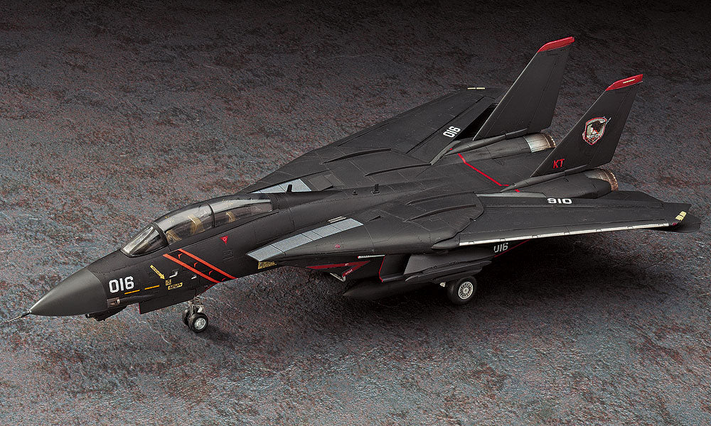 Hasegawa 1:72 F-14A Tomcat Ace Combat "Razgriz"