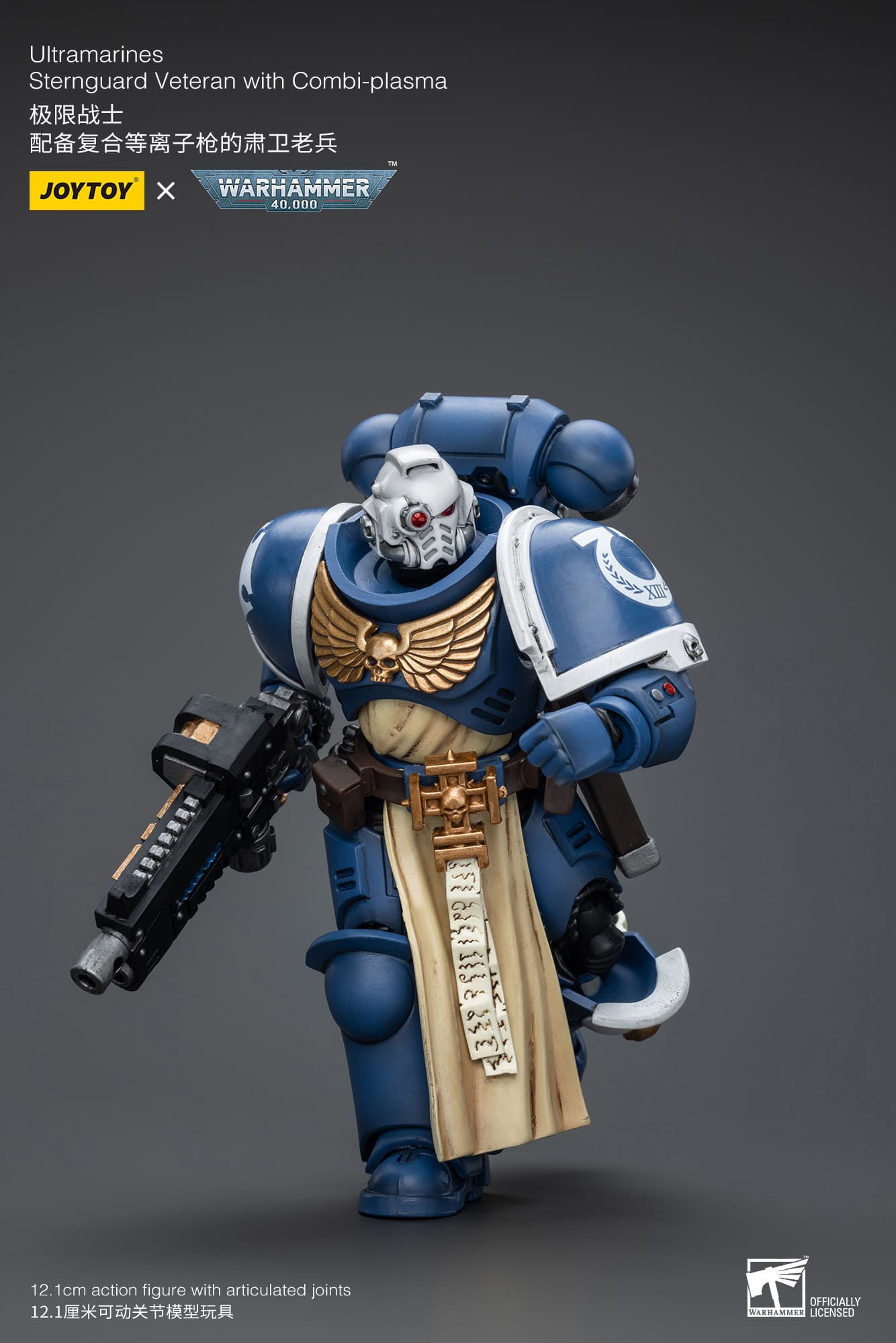 Joytoy: Ultramarines Sternguard Veteran with Combi-Plasma