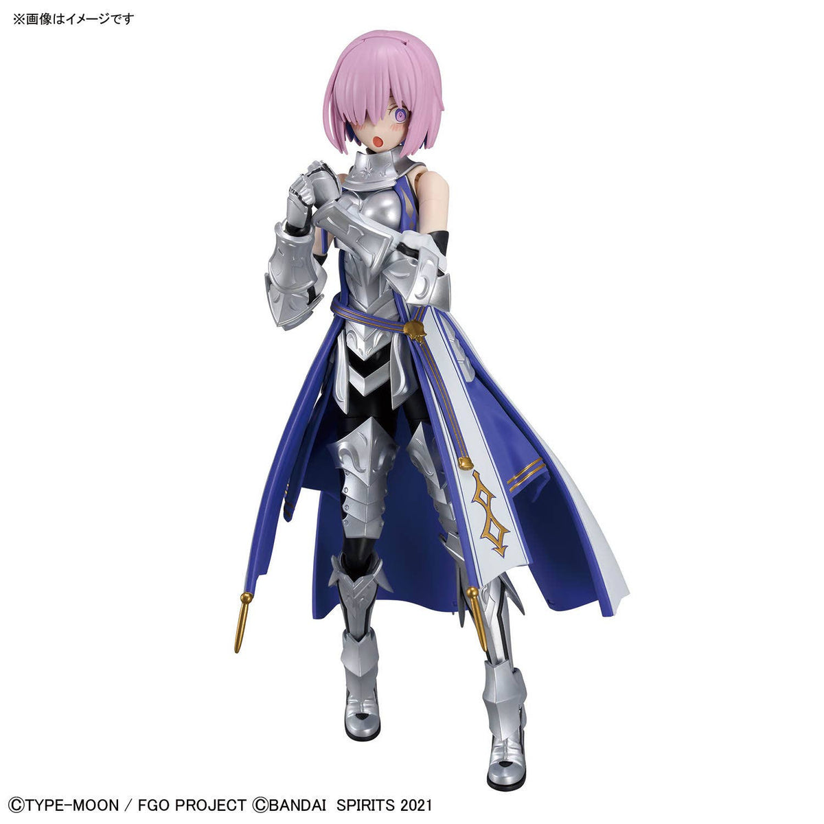 30MS Shielder / Mash Kyrielight (Paladin)
