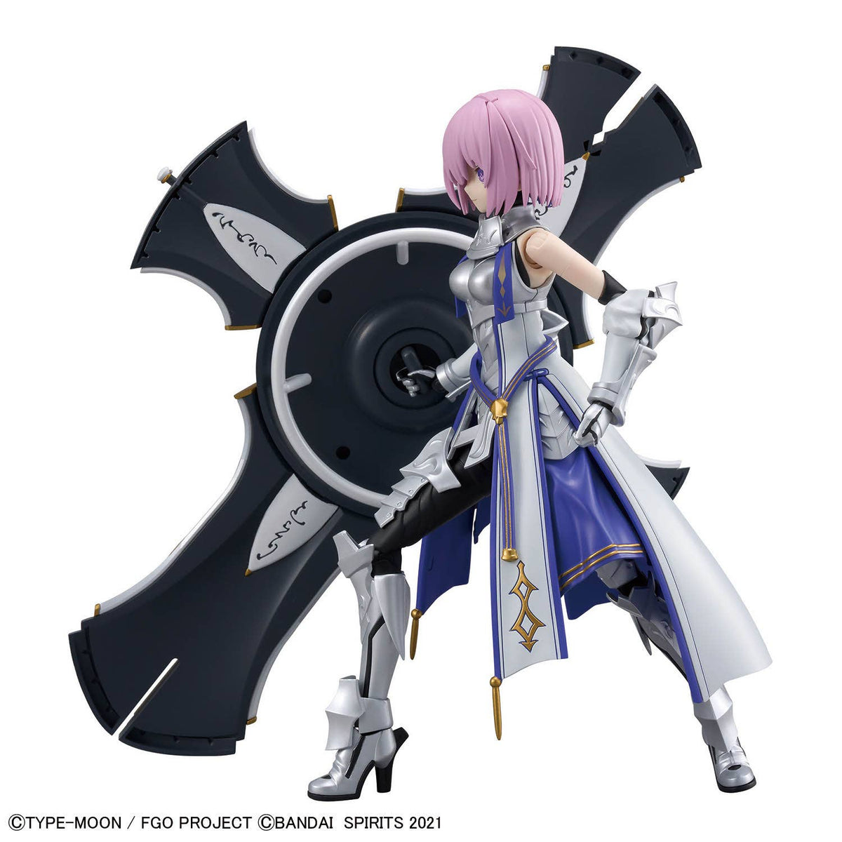 30MS Shielder / Mash Kyrielight (Paladin)