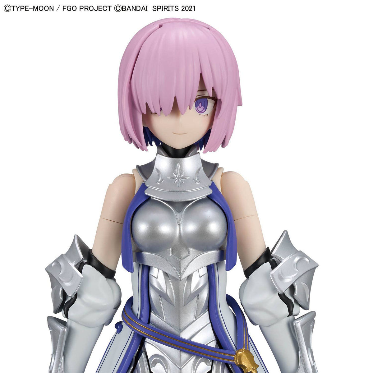 30MS Shielder / Mash Kyrielight (Paladin)
