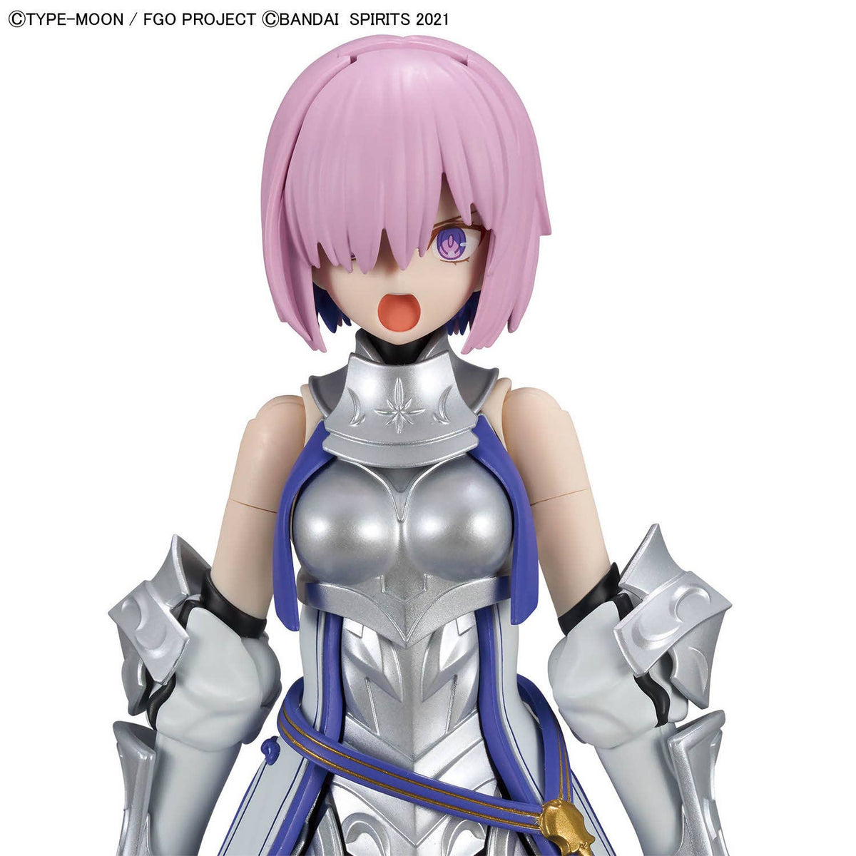 30MS Shielder / Mash Kyrielight (Paladin)