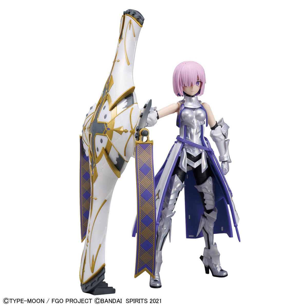 30MS Shielder / Mash Kyrielight (Paladin)