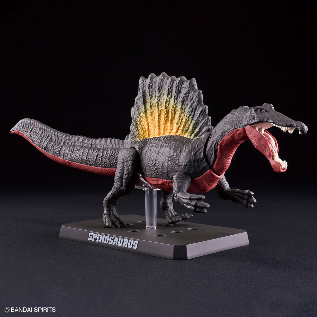 Bandai Dinosaur Model Kit Plannosaurus: Spinosaurus