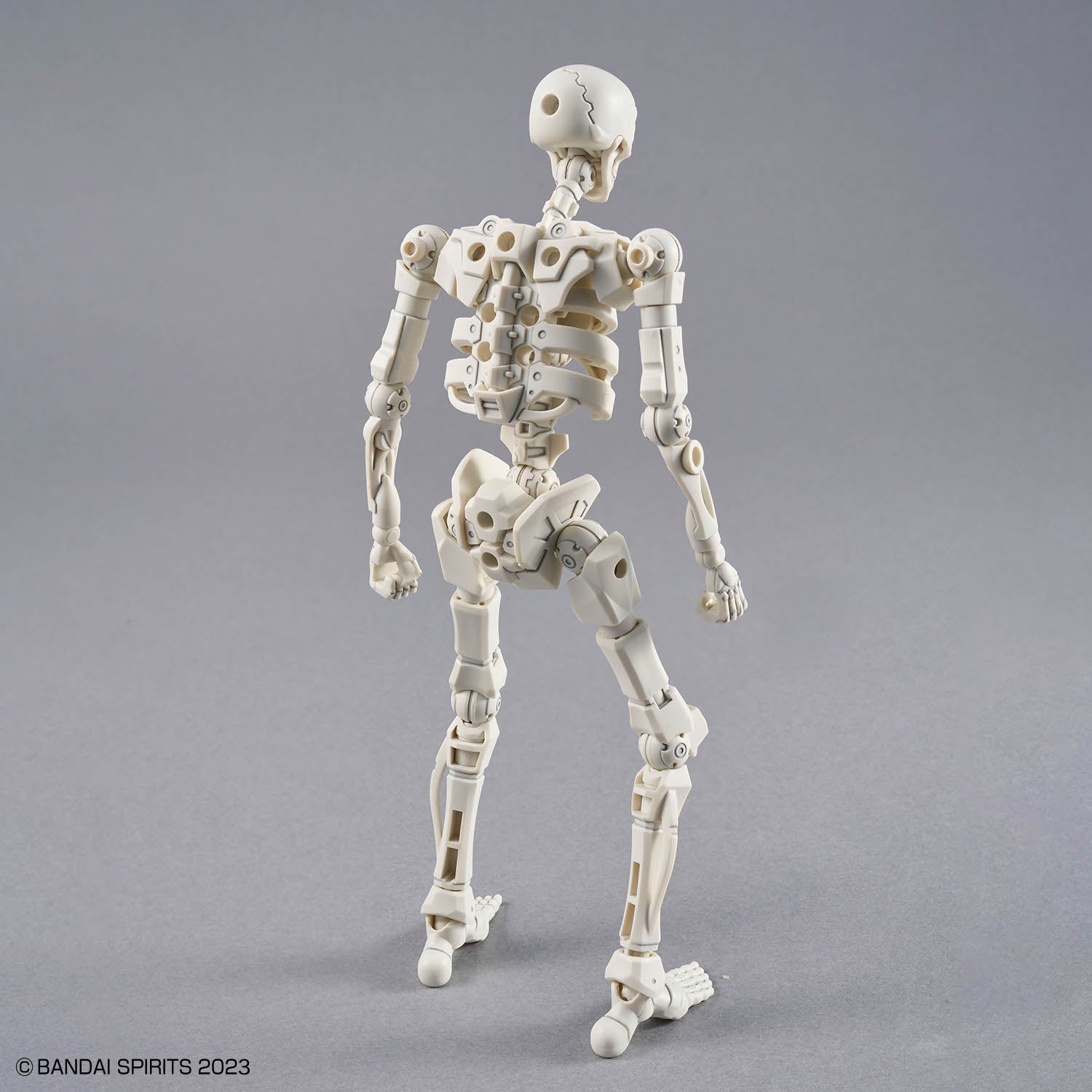 30MF Dlro Skeleton