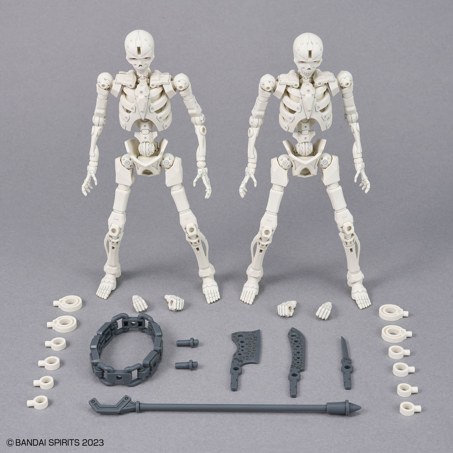 30MF Dlro Skeleton