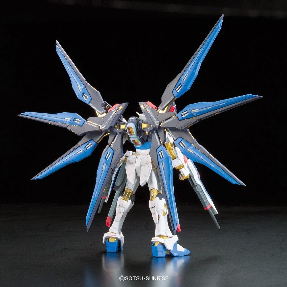 RG #14 Strike Freedom Gundam