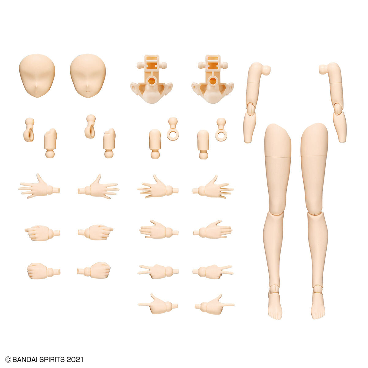 30MS Option Body Parts Arm & Leg (Color A)