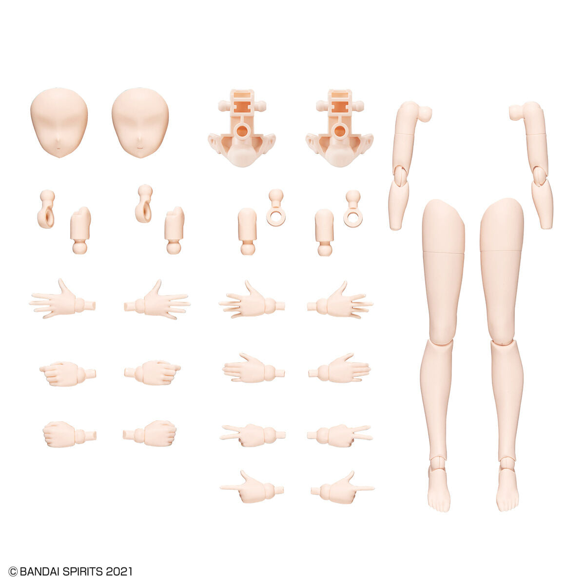 30MS Option Body Parts Arm & Leg (Color B)