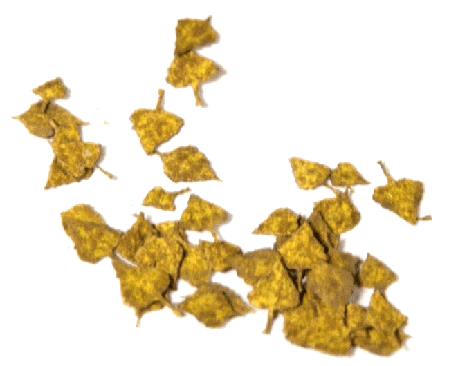 AK8102: Birch Autumn 1/35