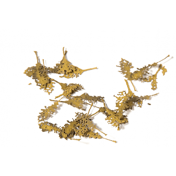 AK8108: Oak Dead Leaves 1/35