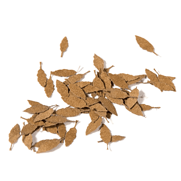 AK8109: Universal Dry Leaves 1/35