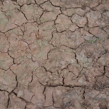 AK8034: Diorama - Wet Crackle Effects (100mL)