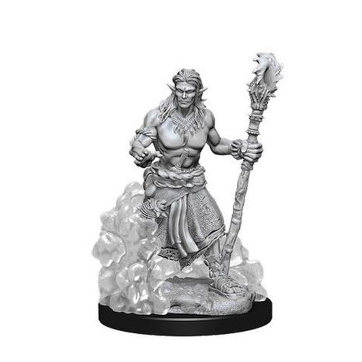 D&D Nolzur's Marvelous Miniatures: Water Genasi Male Druid