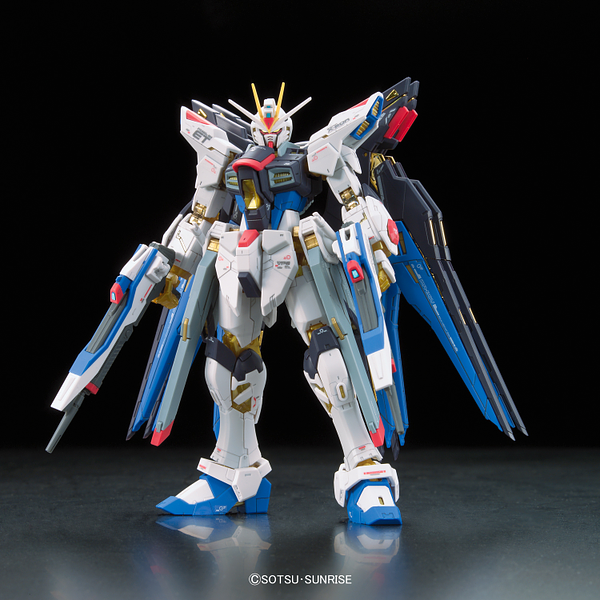 RG #14 Strike Freedom Gundam