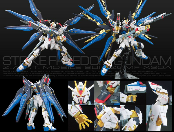 RG #14 Strike Freedom Gundam