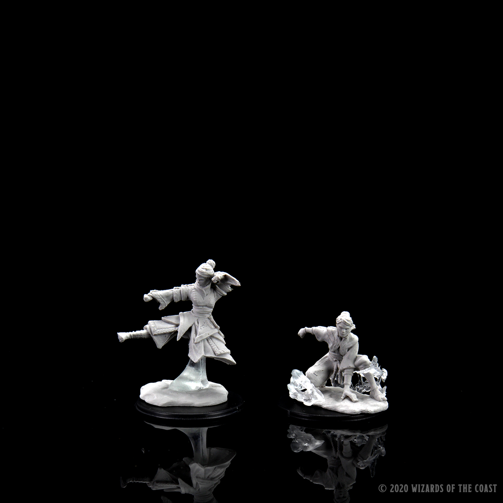D&D Nolzur's Marvelous Miniatures: Female Human Monk