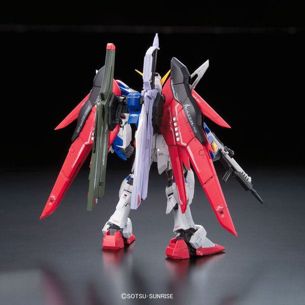 RG #11 Destiny Gundam