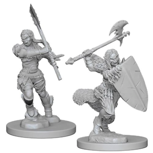 Pathfinder Deep Cuts Unpainted Miniatures: Half-Orc Female Barbarian