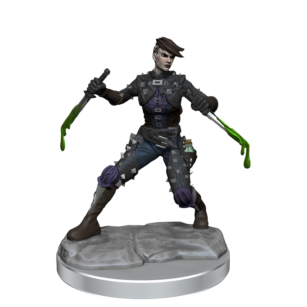 D&D Frameworks: Human Rogue Female - Unpainted and Unassembled