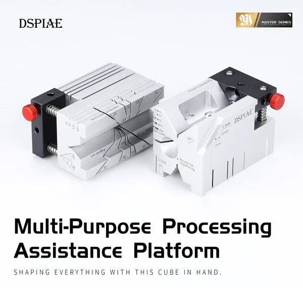DSPIAE: Multi-Purpose Processing Assistance Platform
