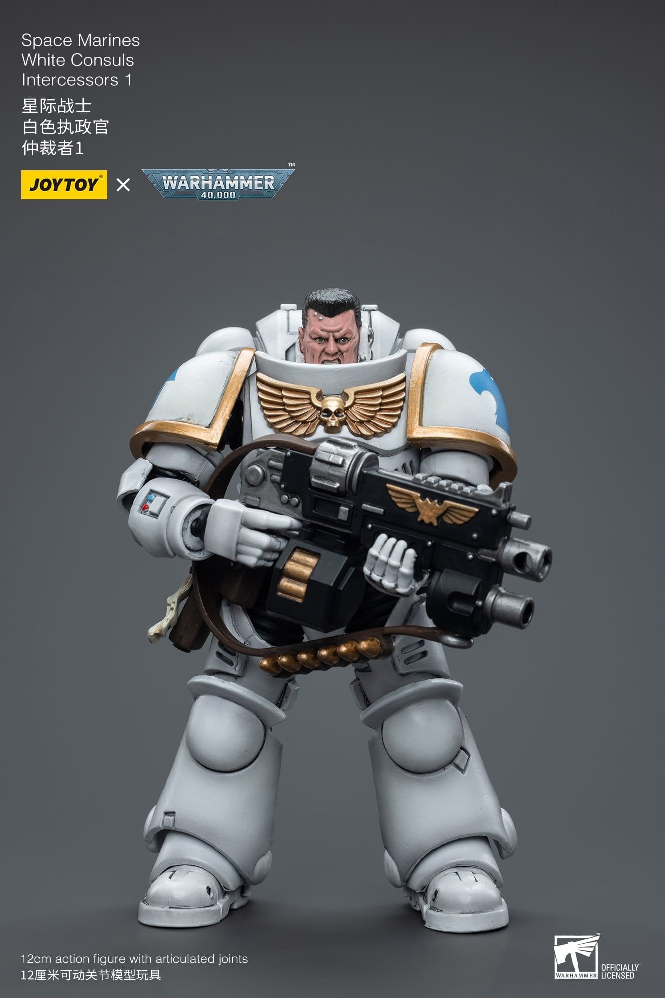 Joytoy: Space Marines White Consuls  Intercessors 1