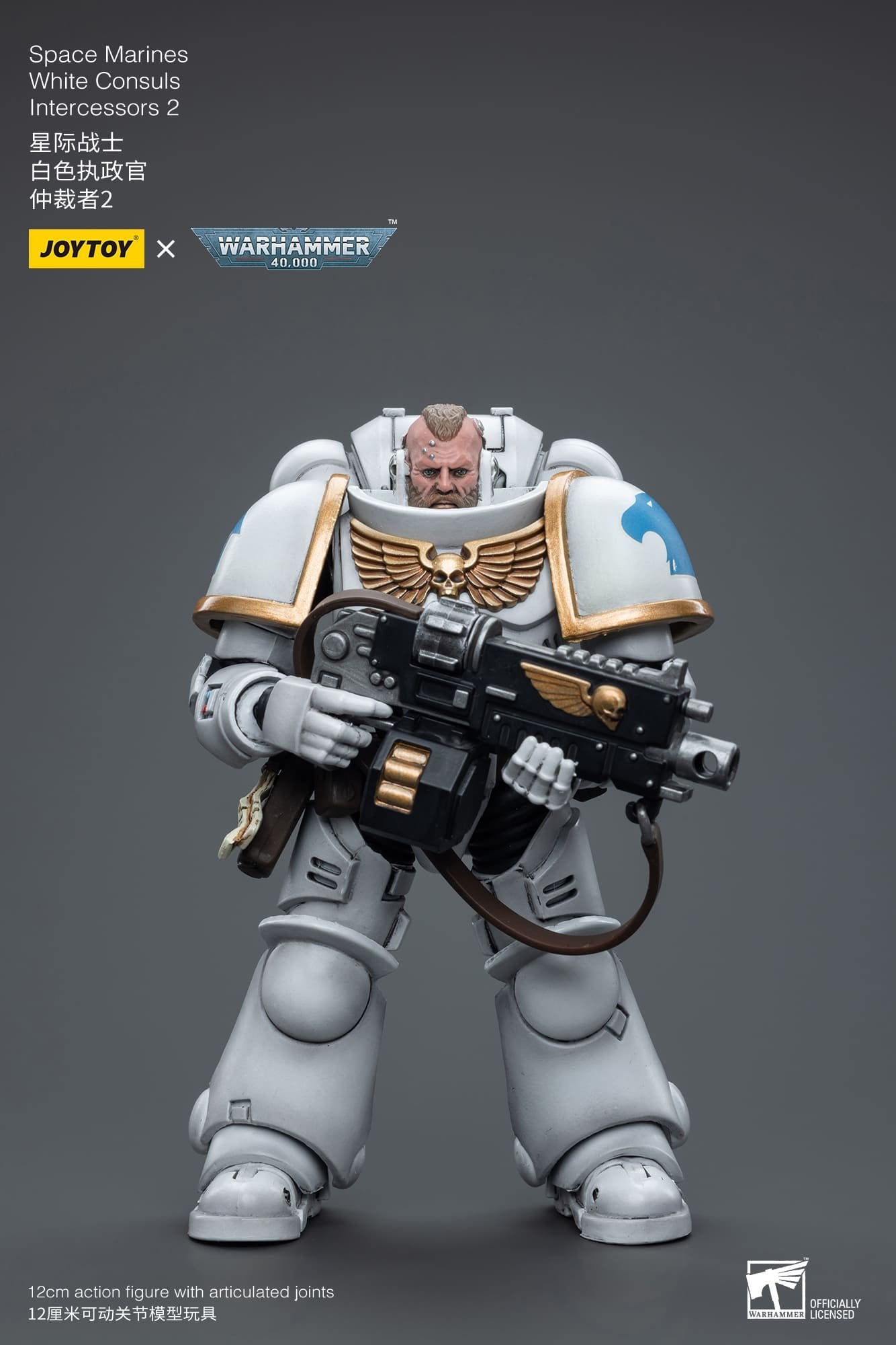 Joytoy: Space Marines White Consuls Intercessors 2