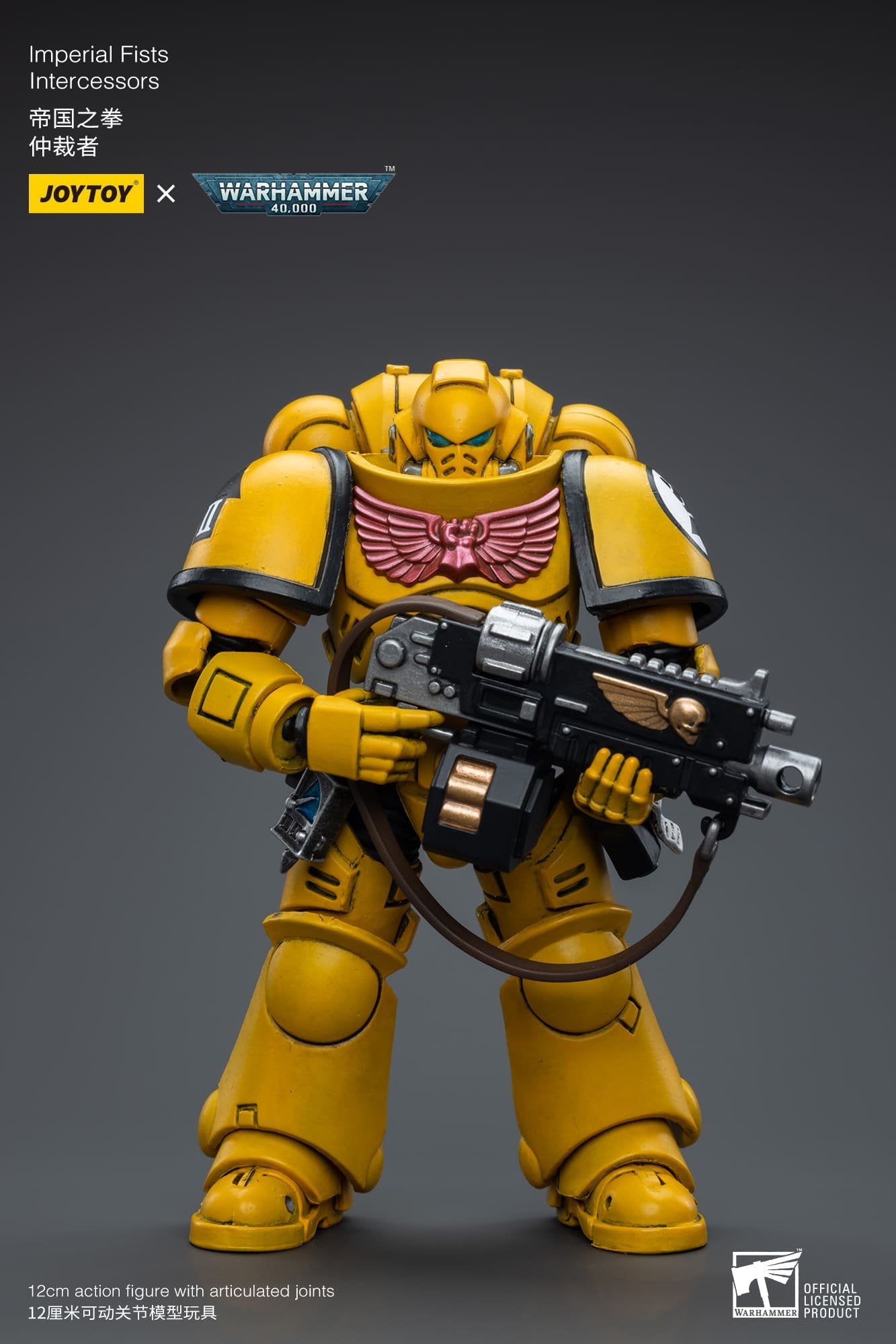 Joytoy: Imperial Fists Intercessors