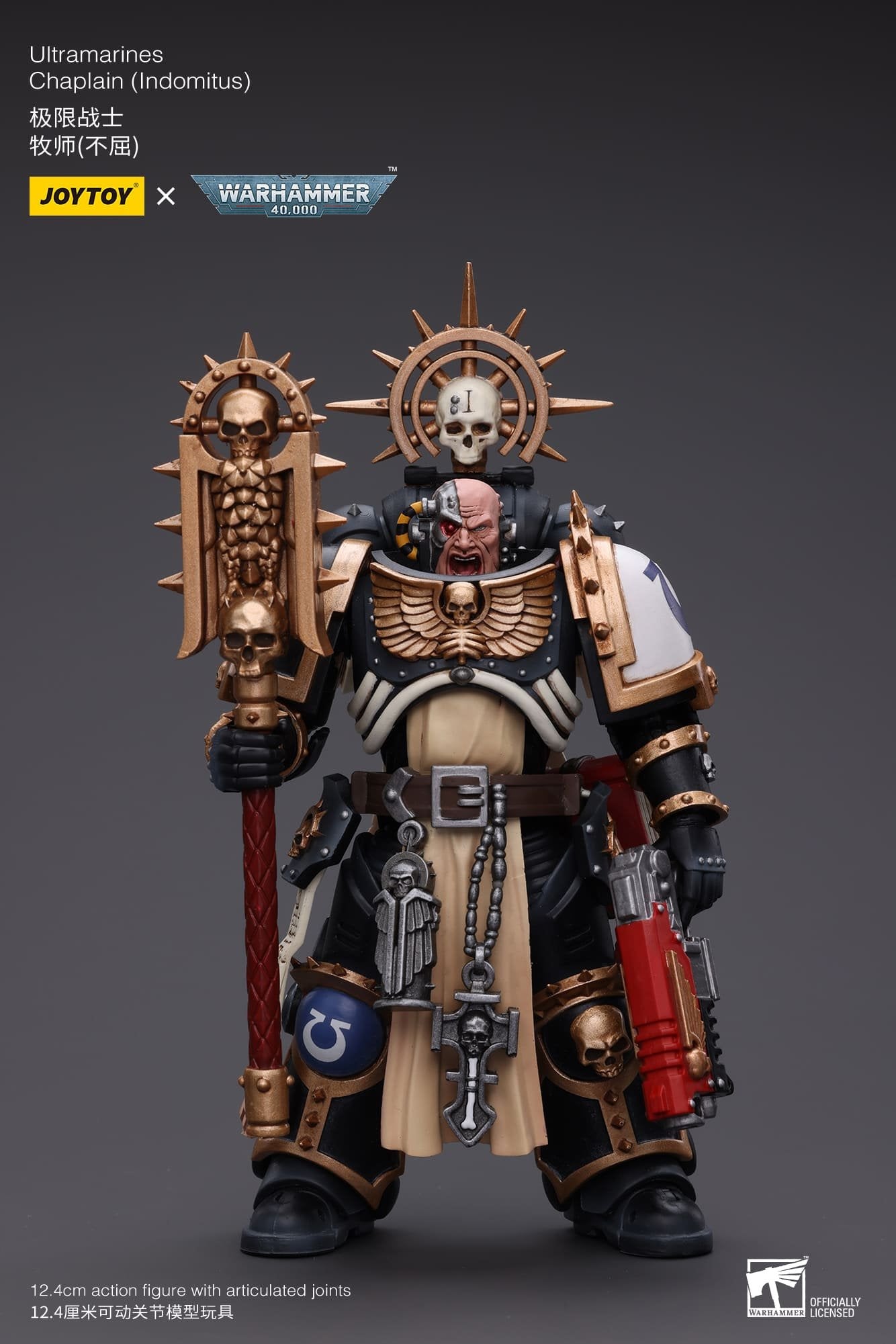 Joytoy:  Ultramarines Chaplain (Indomitus)