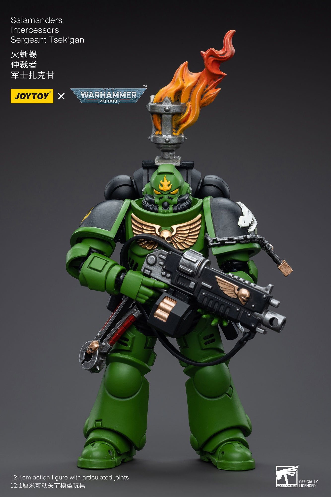 Joytoy: Salamanders Intercessors Sergeant Tsek'gan