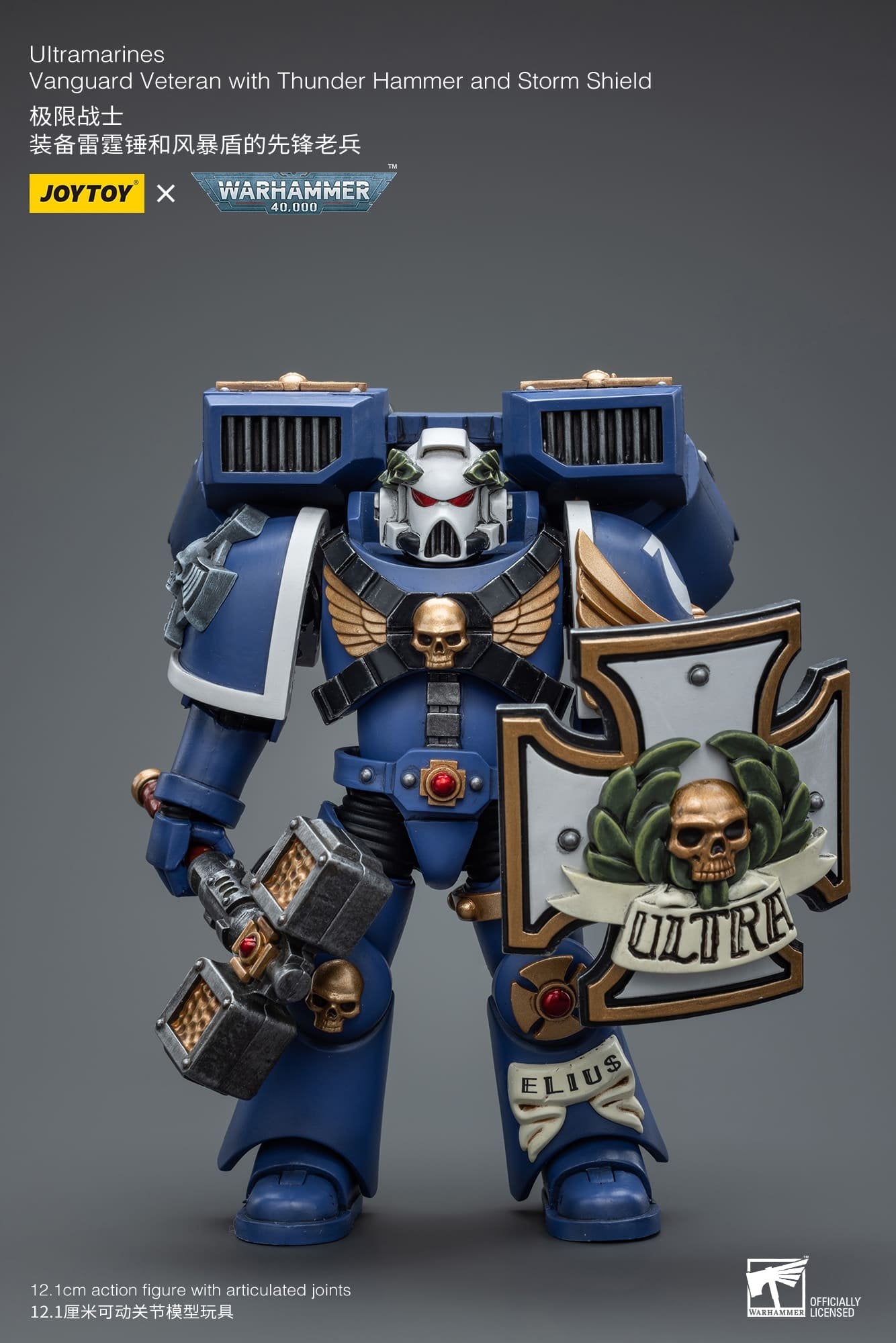 Joytoy: Ultramarines Vanguard Veteran with Thunder Hammer and Storm Shield