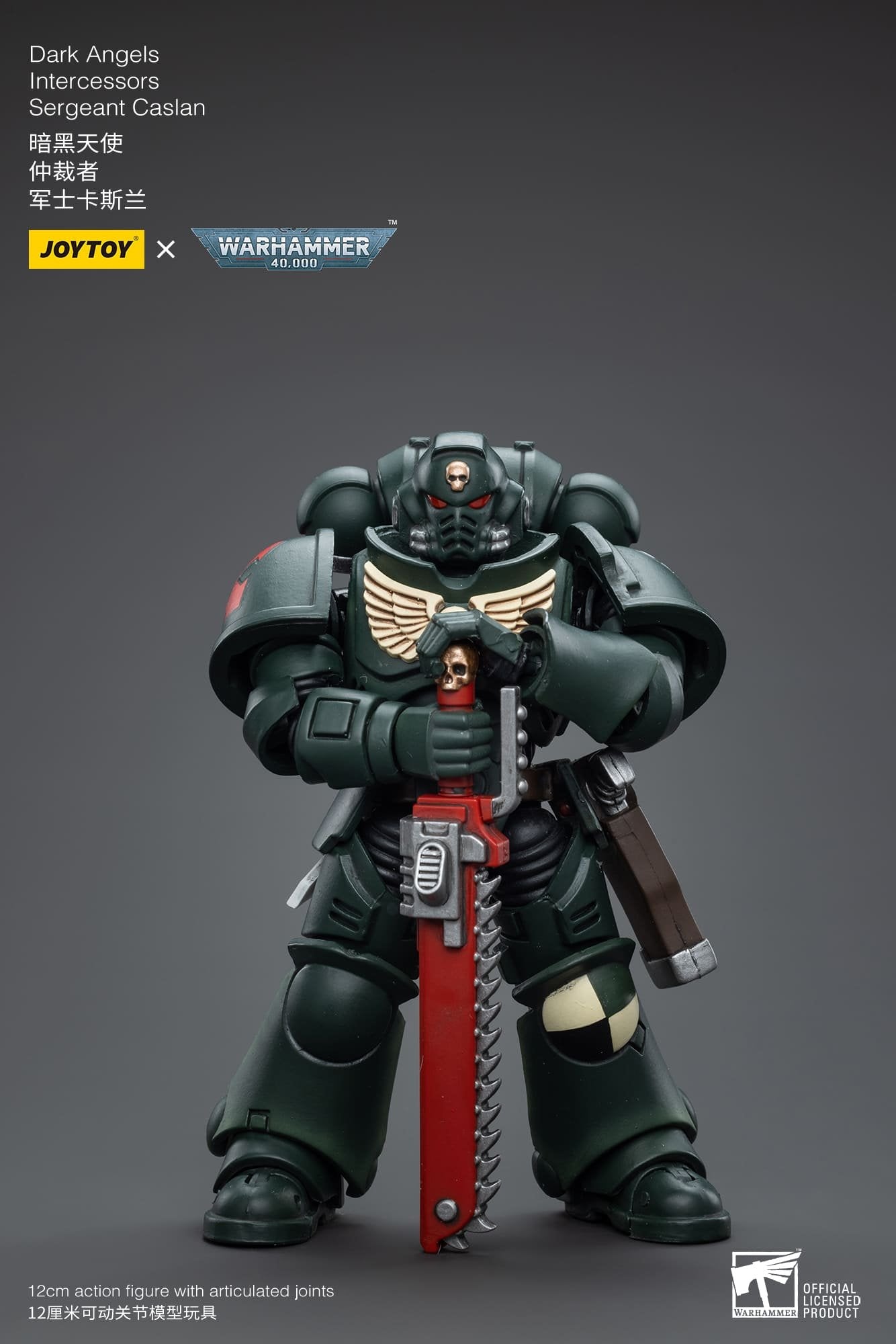 Joytoy: Dark Angels Intercessors Sergeant Caslan