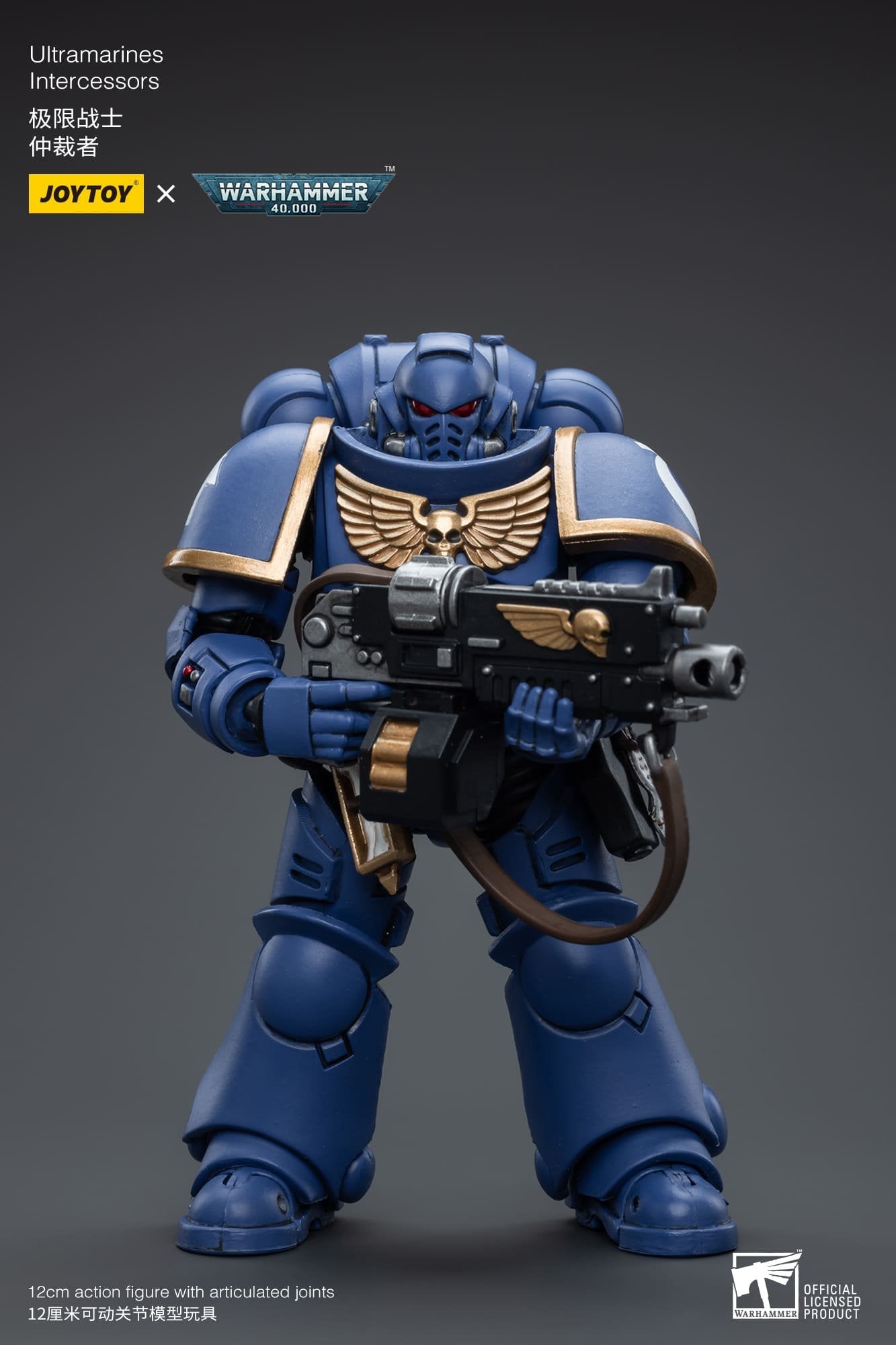 Joytoy: Ultramarines Intercessors