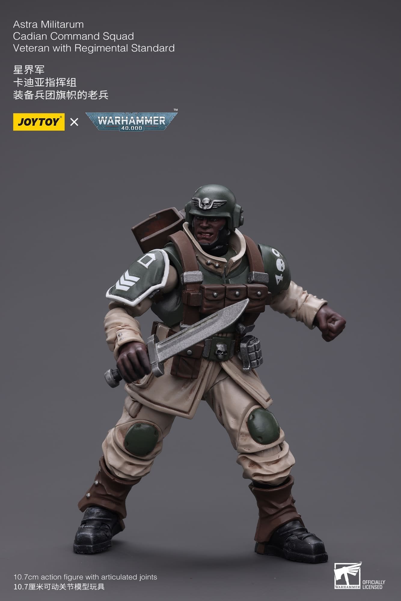 Joytoy: Astra Militarum Cadian Command Squad Veteran with Regimental Standard