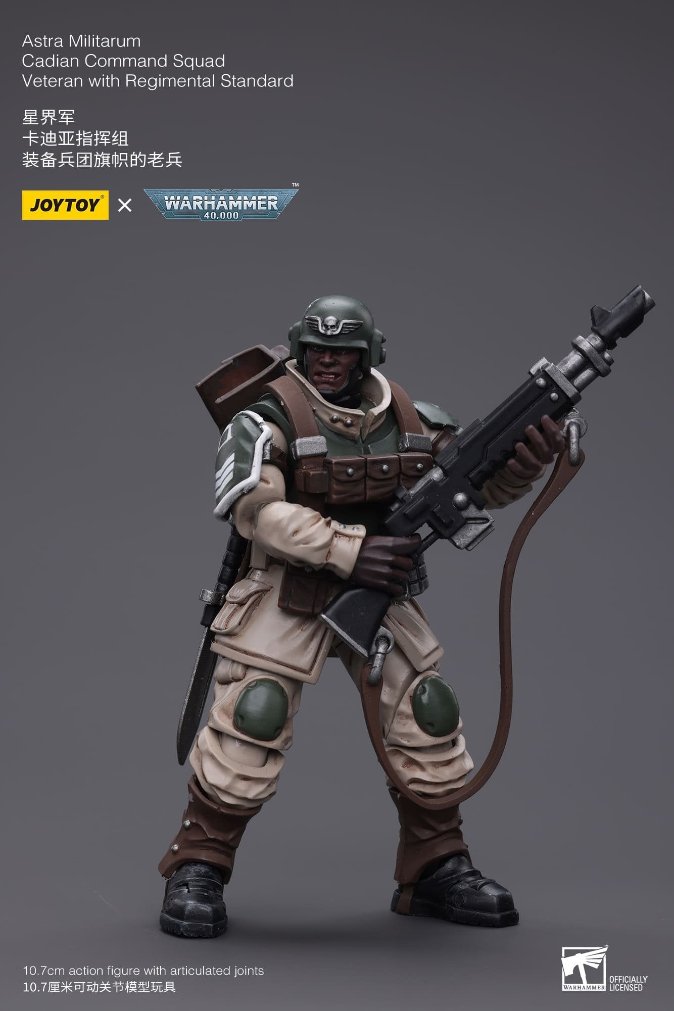 Joytoy: Astra Militarum Cadian Command Squad Veteran with Regimental Standard